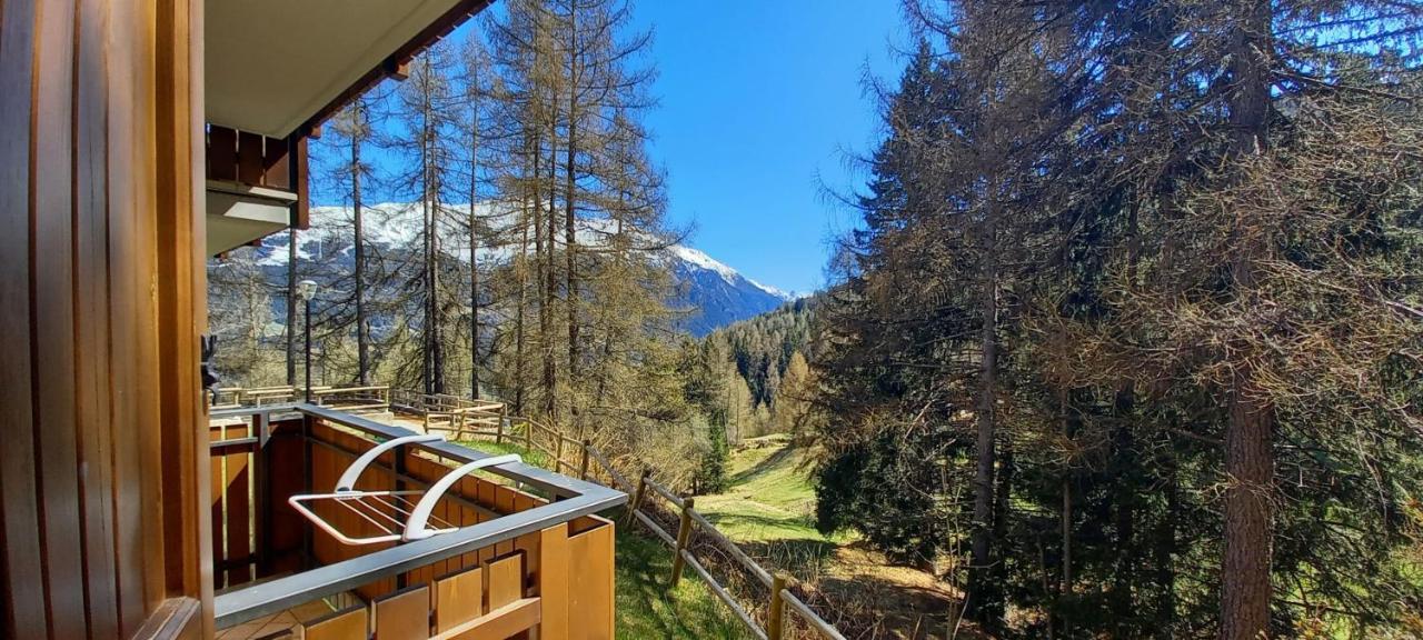 Stelviostay Residence Stelvio Valdisotto Exteriér fotografie