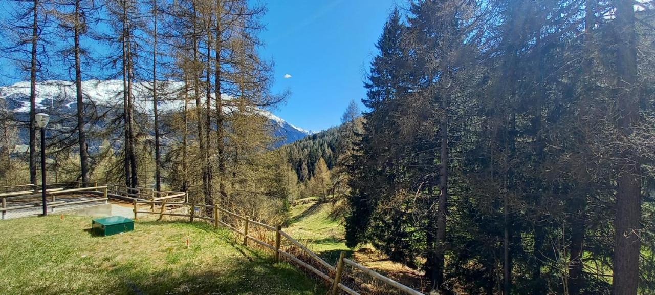 Stelviostay Residence Stelvio Valdisotto Exteriér fotografie